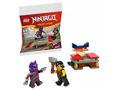 LEGO Ninjago 30675 built model