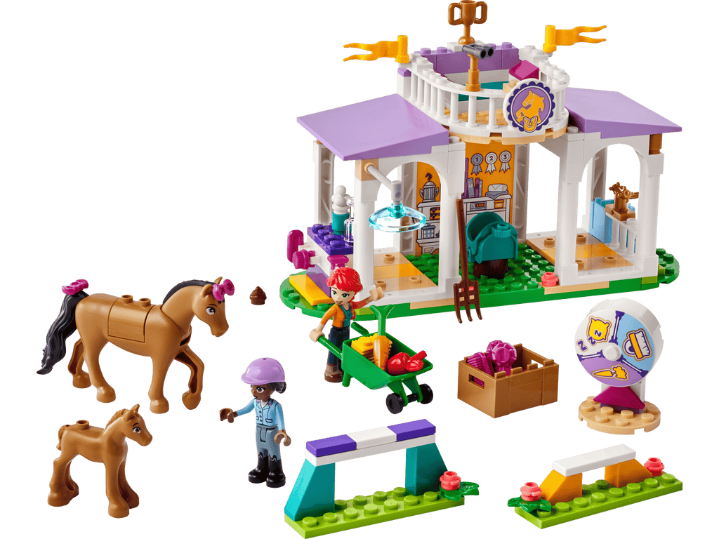 LEGO 41746 built model