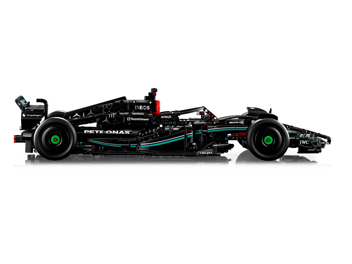 42171 side view of the model